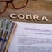 What is Cobra Insurance?